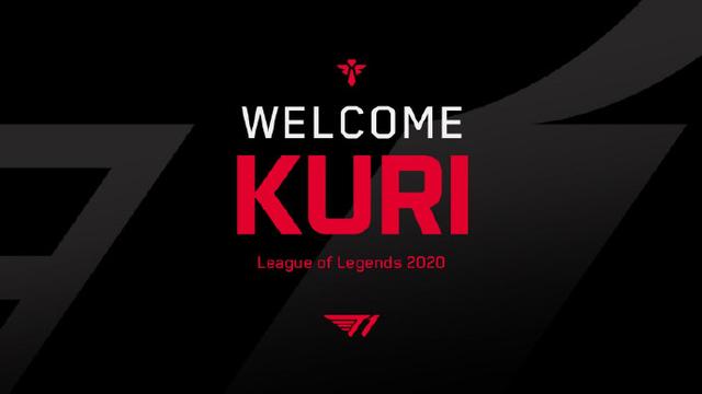 和战术权重 和战术权重