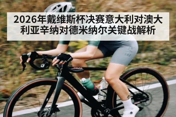 2026年戴维斯杯决赛意大利对澳大利亚辛纳对德米纳尔关键战解析